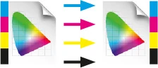 ColorAnt